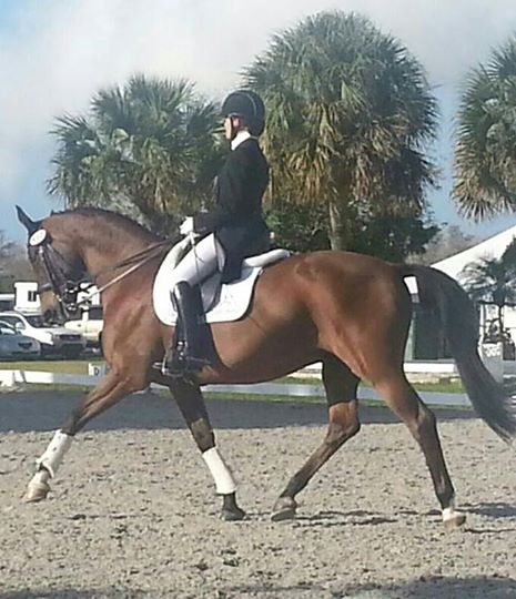 Photo: Shumy is such a champ! Love learning how to ride Grand Prix from the Professor!! <3 :-)